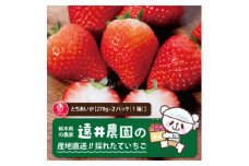 産地直送!!栃木県遠井農園の美味しいとちあいか＜270g×2パック(1箱)＞【1518940】