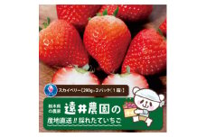 産地直送!!栃木県遠井農園の美味しいスカイベリー＜290g×2パック(1箱)＞【1518942】