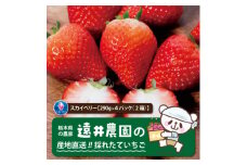 産地直送!!栃木県遠井農園の美味しいスカイベリー＜290g×4パック(2箱)＞【1518943】