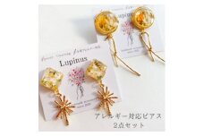 アレルギー対応ピアス「かすみ草のリボンピアス&メラスフェルラとユーフォルビアのリボン」【1562334】