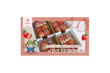 ＜いちご王国の逸品＞栃木県産「とちあいか」260g×4p【1592862】