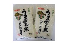 令和6年産　栃木県小山市産コシヒカリ「うまかん米」　精米5kg×2袋【1592908】