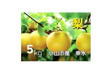 ＜5kg＞栃木県小山市産　幸水 梨【1617300】