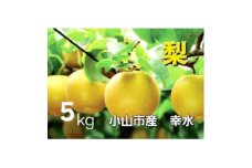 ＜5kg＞栃木県小山市産　幸水 梨【1617300】