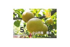 ＜5kg＞栃木県小山市産　豊水 梨【1617299】