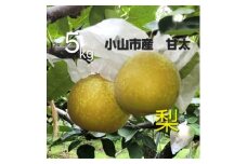 ＜5kg＞栃木県小山市産　甘太　梨【1617298】