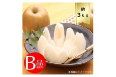 ＜3kg＞栃木県小山市産B級品　にっこり　梨【1617303】