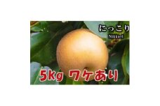 ＜5kg＞栃木県小山市産B級品　にっこり　梨【1617304】