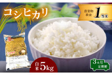【定期便】お米 コシヒカリ 白米 3回定期 5kg×3回