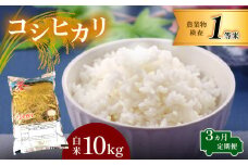 【定期便】お米 コシヒカリ 白米 3回定期 10kg×3回