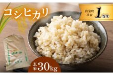 お米 コシヒカリ 玄米 30kg 真岡市産