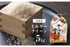 お米 ミルキークイーン 5kg 真岡市産