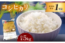 コシヒカリ 真岡産 5kg 白米