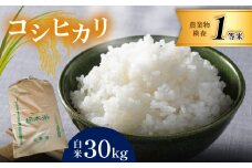 お米 コシヒカリ 30kg 白米