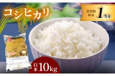 お米 コシヒカリ 10kg 白米 真岡市産