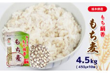 【ふるさと納税】もち麦 栃木県産もち絹香　もち麦　4.5kg（450g×10袋）真岡市 栃木県