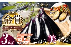 【ふるさと納税】野菜ソムリエサミット金賞「ごほう美ナス」 約3kg | 野菜  やさい 茄子 なす 野菜ソムリエ サミット 金賞 ごぼう美ナス  ご褒美 きんしょう とろとろ 真岡市 栃木県  約 3kg
