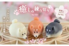 和菓子 癒しの練り切り おまかせ2種
