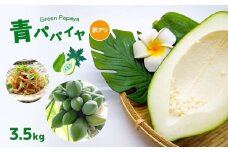 【ふるさと納税】【2024年先行予約】 訳あり青パパイヤ 野菜 健康野菜 3.5kg 真岡市 栃木県 送料無料