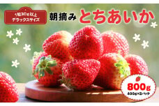 朝摘み とちあいか 800ｇ