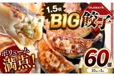 たじまやオリジナルビッグ餃子 60個 | TAJIMAYA たじまや タジマヤ 大きい ビッグ BIG 餃子 売れ筋 大人気 好評 やみつき リピーター リピート ぎょうざ  旨み 旨味 ぱりっと もっちり ジューシー おかず 惣菜 中華 肉 肉汁 地場 野菜  たっぷり 焼 ごはん おつまみ 真岡市 送料無料