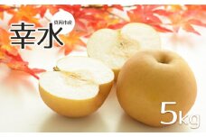 【2025年先行予約】真岡市産 幸水 5kg | こうすい 梨 なし フルーツ 鮮度 品種 果汁 多い 酸味 さっぱり 味わい 旬 採れたて 食感 直送 甘い ジューシー 冷やして 美味しい 水分補給 すりおろし 特産品 栃木県 真岡市 送料無料