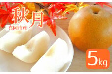 【2025年先行予約】真岡市産 秋月 5kg | あきづき 梨 なし フルーツ 鮮度 品種 果汁 多い 酸味 さっぱり 味わい 旬 採れたて 食感 直送 甘い ジューシー 冷やして 美味しい 水分補給 すりおろし 特産品 栃木県 真岡市 送料無料