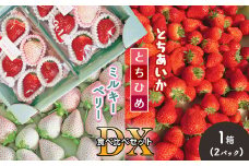  とちあいか・とちひめ・ミルキーベリー食べ比べセット DX 真岡市 栃木県