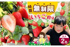 【ふるさと納税】「いちご狩り体験チケット」入園券大人2名｜いちご 苺 ストロベリー レジャー 観光 デート お出かけ 体験 時間無制限 食べ放題 とちおとめ とちひめ 甘い 冬 おいしい 真岡 栃木県 送料無料