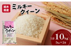 栃木県産 ミルキークイーン 10kg 米 お米 コメ 国産 精米 もちもち 真岡市 栃木県 送料無料