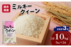 【定期便3回】栃木県産 ミルキークイーン  10kg 米 お米 コメ 国産 精米 もちもち 真岡市 栃木県 送料無料