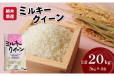 栃木県産 ミルキークイーン 20kg 米 お米 コメ 国産 精米 もちもち 真岡市 栃木県 送料無料