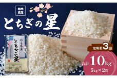 【定期便3回】栃木県産 とちぎの星 10kg | お米 米 こめ おにぎり ごはん ご飯 令和6年産 栃木県 真岡市 ブランド米 栃木県共通返礼品