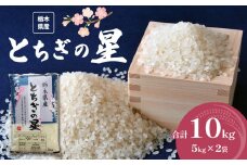 栃木県産 とちぎの星 10kg | お米 米 こめ おにぎり ごはん ご飯 令和6年産 栃木県 真岡市 ブランド米 栃木県共通返礼品