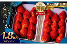 とちあいか 1.8kg (600g×3箱)