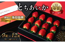 贈答用とちあいか　Red Gift Box