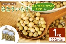 農薬・除草剤・化学肥料 不使用の農地で栽培・大豆さとういらず 500gx2袋 真岡市 栃木県 送料無料