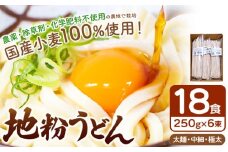 地粉うどんセット（農薬・除草剤・化学肥料 不使用の農地で栽培した 小麦 100％18食分） 250g6束セット 真岡市 栃木県 送料無料