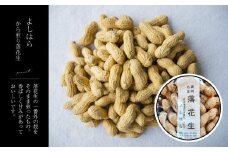 【よしはら】から煎り落花生（3袋） 真岡市 栃木県 送料無料