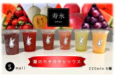 【先行予約】寿氷 夏の カチカチ シックス 6種類 食べ比べ セット スモール  2024年7月中旬～2024月8月末発送  真岡市 栃木県 送料無料