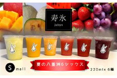 【先行予約】寿氷 夏の八重洲 6 シックス 6種類 食べ比べ セット スモール  2024年7月中旬～2024月8月末発送 