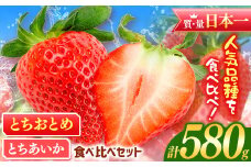  とちおとめ とちあいか 食べ比べ セット   (290g×2パック）約580g | 日本一 いちご生産量 JAはが野 栃木県 代表 とちおとめ 真岡市 栃木県 送料無料 苺 ストロベリー 人気品種 フルーツ 果物