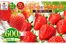 幻のいちごプレミアム とちひめ・とちあいか食べ比べ 600g