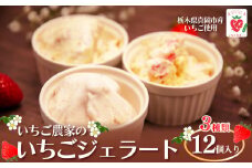 いちご農家の『いちごジェラート ３種』 12個入り 真岡市 栃木県 送料無料