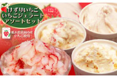 いちご農家の【けずりいちごといちごジェラート】アソートセット 真岡市 栃木県 送料無料