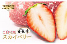 ご自宅用 スカイベリー (6~9粒×2パック×2) 真岡市 栃木県 送料無料