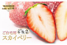 ご自宅用 スカイベリー (6~9粒×2パック×1) 真岡市 栃木県 送料無料