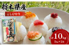 栃木県産 こしひかり 10kg 令和6年度産新米 発送スタート 真岡市 栃木県 送料無料 ふるさと納税　