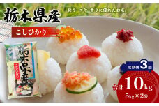 【定期便3回】栃木県産 こしひかり 10kg×3回  令和6年度産新米 発送スタート 真岡市 栃木県 送料無料 ふるさと納税　