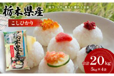 栃木県産 こしひかり 20kg 令和6年度産新米 発送スタート 真岡市 栃木県 送料無料 ふるさと納税　